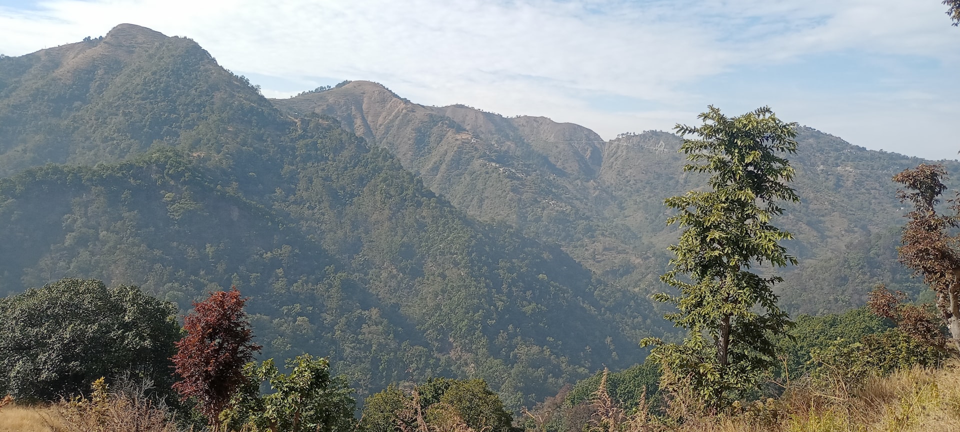 a view of a mountain range with trees in the foreground